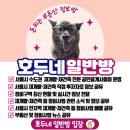 이문74 이미지