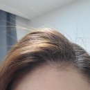 다이소 앞 이미지