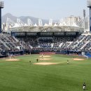 마산종합운동장 축구장 이미지