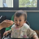 대청로25번길 | 제주 서귀포 이유식 골드스푼, 아기가 잘 먹는 수제 이유식 가게
