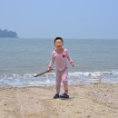 신안 우전 설레미 캠핑장 이미지