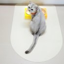 구루구루 오브제매트 하프문 사용후기 (완소템)