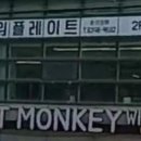 피티몽키위드레몬 이미지
