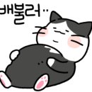 짬뽕천하 이미지