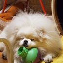 J@야니스타일 네이버블로그