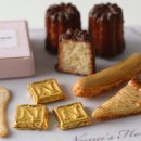 누누하우스 이미지