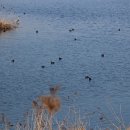 화원유원지 축구장 이미지