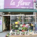 라플레르 이미지