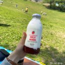탑브릭스 율량점