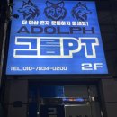 아돌프 그룹 PT 네이버블로그