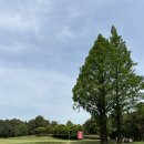 이정민 선수 첫 메이저우승 축하 : 2024 크리스F&amp;C 제46회 KLPGA 챔피언십 갤러리 후기