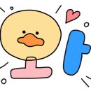 솔트랩 이미지