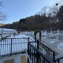 동성아이별꽃유치원 | 용인 별꽃포레스트 초딩들의 겨울방학 당일 캠핑 추억