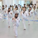 대영태권도장 이미지