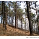 정자빌라길 이미지