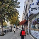 아이들과 같이 등교, 등원 &amp; 링키지 버거 후기