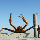 바람의바다 이미지