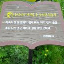 나그네길 이미지