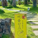 신평농장 | 제주도 애플망고1947 내돈내산 후기, 인생 망고빙수