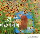 카페빈티지정원 이미지