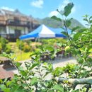 고수족구장 이미지