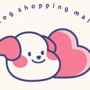아이라잇댕