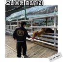 바이킹스낵(모노브레드) | 모나용평 즐길거리 애니포레 놀이공원 부대시설 정보등등