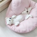 23년 1월 일기 : 명절과 내생일