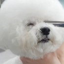 와와살롱 이미지