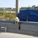 원덕읍사무소 이미지