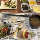 창원 스시 반송시장맛집 미스터참치왕 초밥코스 시코스