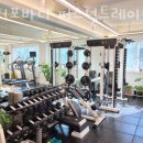 닥터포바디 퍼스널 트레이닝 이미지