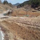 The전원공인중개사사무소 이미지