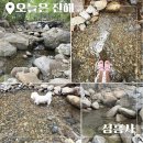 성흥사 - 1889 | 진해 성흥사 계곡 물놀이 다녀왔어요! (2026년7월 12일 기준) 수심·물 상태 솔직 후기