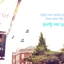 브니엘플라워 이미지