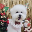 그루밍, 안나 이미지