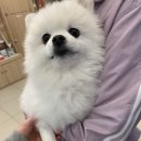 수호동물병원 이미지