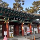 시민의 솟음길 | 경주 꼭 가봐야할곳 추천 대릉원( 천마총,미추왕릉,대나무숲 ) 입장비용 영업시간 주차요금 후기