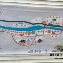 금물산하늘소캠프 이미지