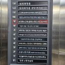 강남-175 | 강남 브로우리프트펌 후기 : 강남역 브로우리프트펌 잘하는 드로우어라인