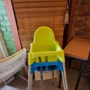 델쿠치나 이미지