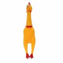 강아지 지니 이미지