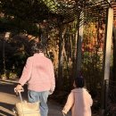 가을 숲으로 가자 | 화담숲 포토존·산책코스·스탬프투어 총정리 · 아이랑 가을 나들이 코스