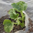 성덕농장 이미지