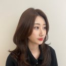 모노브로수완