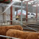 정찬욱농장 이미지