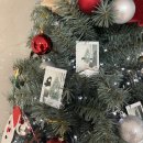 9시약국 | [임신일기#10. 임신24주~26주차, 임당 재검 후기, 정밀초음파, 메가팜스 약국]