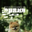 혼저 이미지