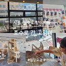 호수로 간 고양이 이미지
