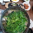 신참면 이미지